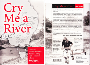 Cry Me A River - cover